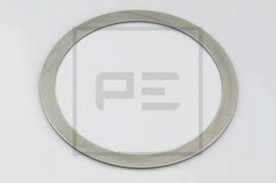 PE AUTOMOTIVE 01109400a -  Пыльник/сальник кол.подшипника